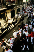 Encierro, der Lauf der Stiere, Mercaderes-Strecke, Fiesta de San Fermin, Festival von San Fermin, Pamplona, Provinz Navarra, Spanien