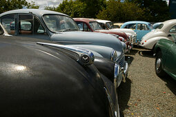 Old cars, Morris car yard, Nelson, South Island