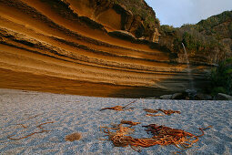 beach near Punakaiki, Paparoa NP, South Island, New Zealand