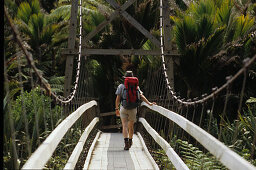 Swingbridge Heaphy Track, Start of Heaphy Track, Kahurangi National Park, New Zealand, Neuseeland, NZ