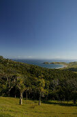 Landscape near Port Jackson, Cape Colville, Coromandel Peninsula, North Island, New Zealand