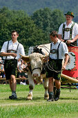 First oxrace of Bichl, August 8th 2004, Erstes Bichler Ochsenrennen am 8.8.2004 in Bichl, Oberbayern, Deutschland Upper Bavaria, Germany