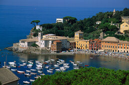 View at a bay with boats and the town of Sestri Levante, Riviera di Levante, Liguria, Italy, Europe