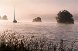 Boot auf dem Rhein in der Morgendämmerung, Eltville, Rheingau, Hessen, Deutschland, Europa