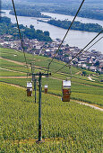 Blick auf Sessellift über idyllischer Landschaft, Rüdesheim, Rheingau, Hessen, Deutschland, Europa