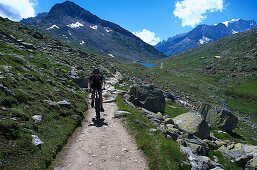 Biking, Aletsch Glacier, Bernese Oberland Switzerland