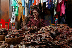 Woman selling dried fish at Taunggyi market, capital of Shan Province, Myanmar