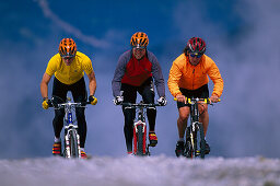 Freeriding, Arosa, Graubuenden Switzerland