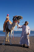 Kamelreiten, Starnd beim Dorf Giftun, Hurghada, Rotes Meer, Ägypten