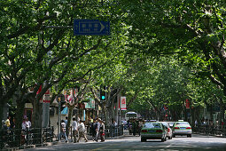 French Concession, Green