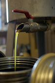 Olive press, Umbria, Italy