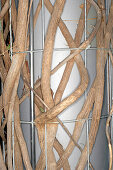 Detail of a cage at the zoo, Munich, Bavaria, Germany