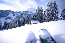 Skiing tour, Hohe Salve, skiing area  Brixen im Thale, Tyrol, Austria