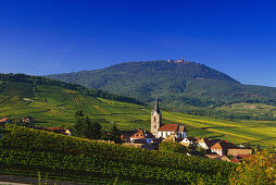 Blick über Rodern zur Haut-Koenigsbourg,Elsass,Frankreich