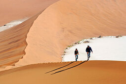 Eine junge Frau und ein junger Mann besteigen Big Daddy, eine der höchsten Dünen der Welt. Tief unter ihnen die helle Ebene Deadvlei. Die Sossusvlei Dünen. Namib Wüste. Namibia. Afrika. MR