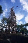 Landdiving, Pfingsten, Vanuatu