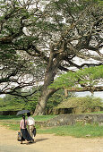 Couple with umbrella, Galle, Sri Lanka