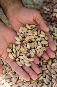 Freshly Roasted Pistachios,Old Town Antalya, Antalya, Turkey