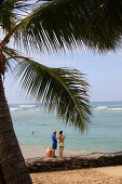 Palme, Palmenstrand, Baden, Strandleben, Touristen, Waikiki Beach, Honolulu, Vereinigte Staaten von Amerika, U.S.A.