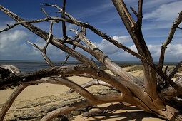beach, Green Island, nearby Cairns, Great Barrier Reef, Tropical North, Queensland, Australia