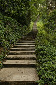 path and stairs, pilgrims, Mountains, Emei Shan, World Heritage Site, UNESCO, China, Asia