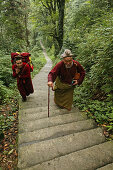 Pilgrims going upstairs in the forest, Emei Shan, Sichuan province, China, Asia