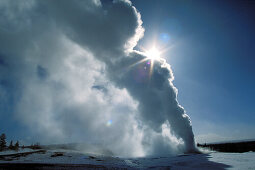 Geysir Old Faithful im Sonnenlicht, Yellowstone Nationalpark, Wyoming, USA, Amerika