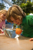 Junge beugt sich über eine Schüssel mit Wasser und einem Apfel, Kindergeburtstag