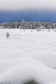 Almsee im Winter, Almtal, Oberösterreich, Österreich