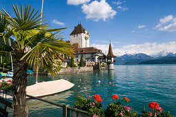 Castle Oberhofen at Lake Thun, Oberhofen, Bernese Oberland (highlands), Canton of Bern, Switzerland