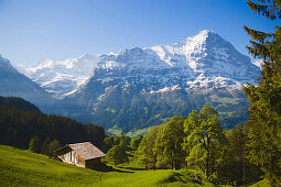 Eiger Nordwand, Grindelwald, Berner Oberland, Kanton Bern, Schweiz