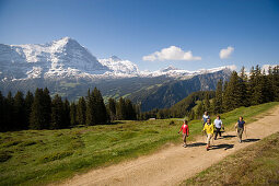 Group of people nordic walking at Bussalp (1800 m), view to Eiger North Face (3970 m), Grindelwald, Bernese Oberland (highlands), Canton of Bern, Switzerland