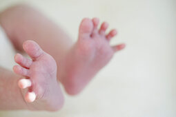 Close-up of baby's feet