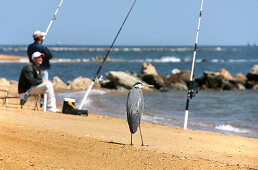 Chesapeake Bay, Maryland, USA