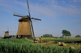 Windmühlen in idyllischer Landschaft, Niederlande, Europa
