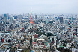 Stadtansicht vom Roppongi Hills Mori Tower, Roppongi Hills, Richtung Tokyo Tower, Tokyo, Japan, Asien