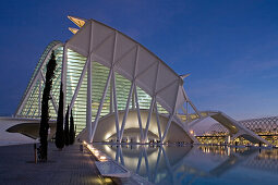 Stadt der Künste und Wissenschaften, spanischer Architekt Santiago Calatrava, Wissenschafts Museum, Museo de las Ciencias Principe Felipe