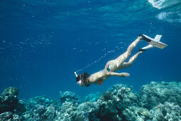 Person snorkeling under water, Havelock Islands, Andaman Islands, India