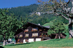 Ländliches Motiv, Bauernhaus, Beatenberg bei Interlaken, Berner Oberland, Schweiz