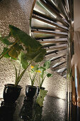 Detail Innen, Innenansicht von einer Wendeltreppe, Treppe in Hotel Banyan Tree Spa mit Pflanzen, Bangkok, Thailand