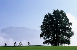 Group of four mountainbikers at Samerberg, Chiemgau, Upper Bavaria, Bavaria, Germany