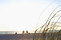 Urlauber geniessen Sonnenuntergang am Strand, Sylt, Nordfriesland, Schleswig-Holstein. Deutschland