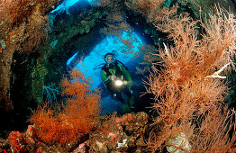Scuba diver examines ship wreck Liberty, Bali, Tulamben, Indian Ocean, Indonesia