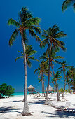 Sandy beach, Punta Cana, Caribbean, Dominican Republic