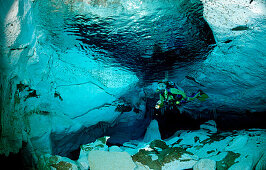 Unterwasserhoehle Cueva Taina, Punta Cana, Suesswasser, Dominikanische Republik