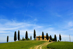 Farm with cypress trees near Pienza, Crete Senesi, Tuscany, Italy