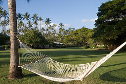 Hammock palm trees and Waimea Plantation Cottages, Waimea, Kauai, Hawaii, USA