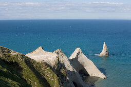 Tölpelkolonie am Cape Kidnappers, nahe Napier, Hawkes Bay, Nordinsel, Neuseeland