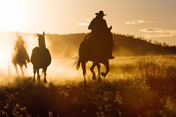cowboys horseriding at sunset, Oregon, USA