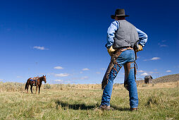 Cowboy with horse, wild west, Oregon, USA